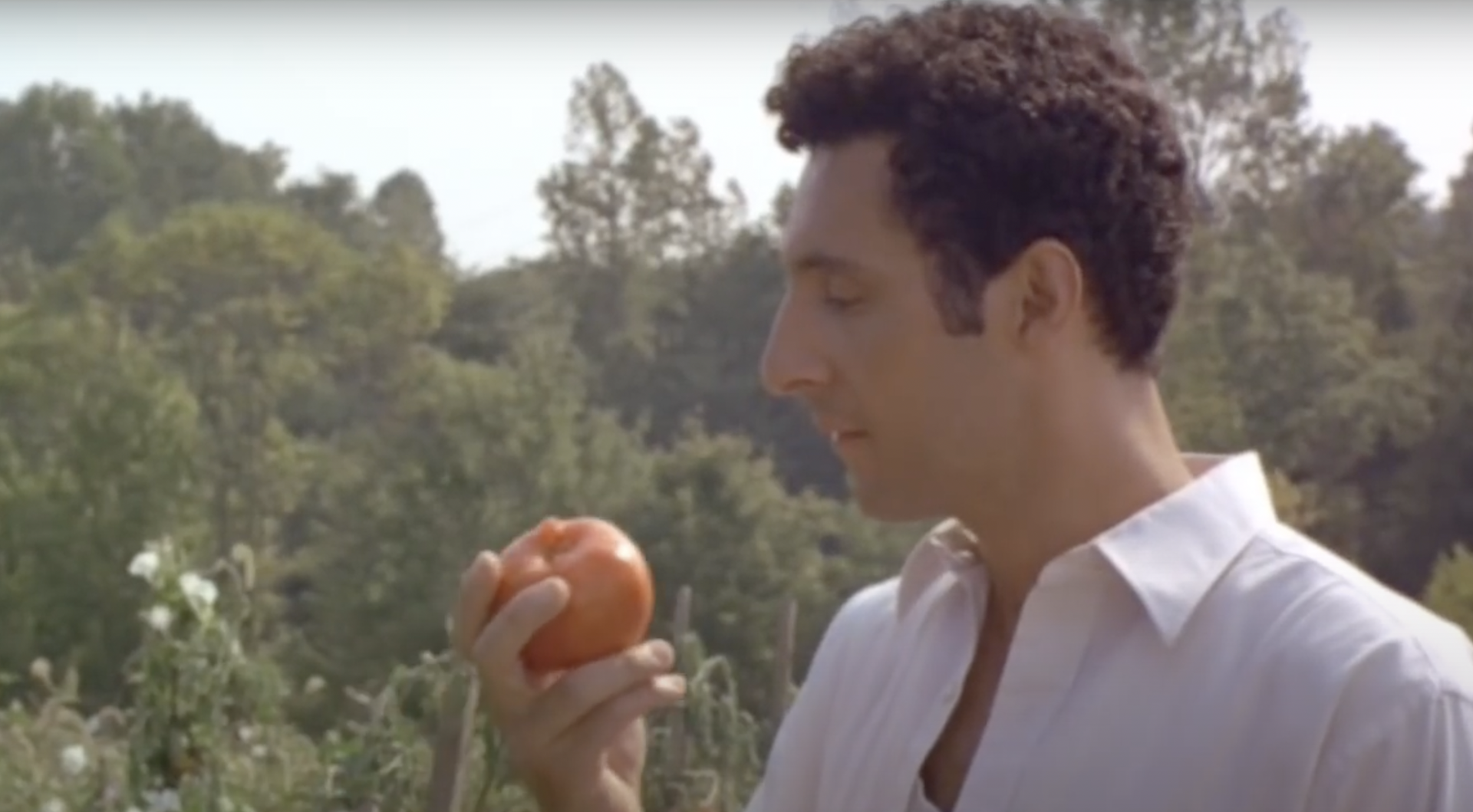 John Turturro's character holds a tomato in Box of Moonlight