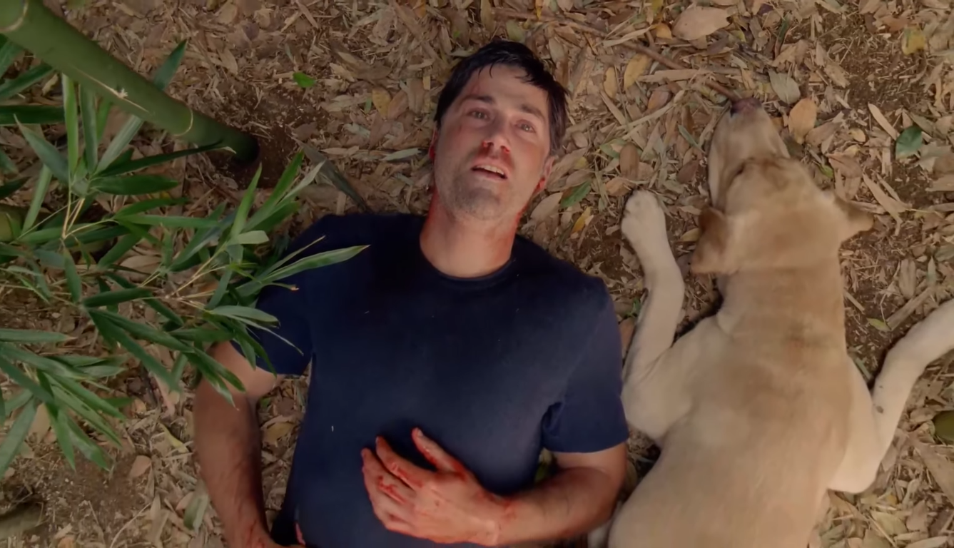 Jack from 'Lost' lying down with a golden retriever next to him in the finale