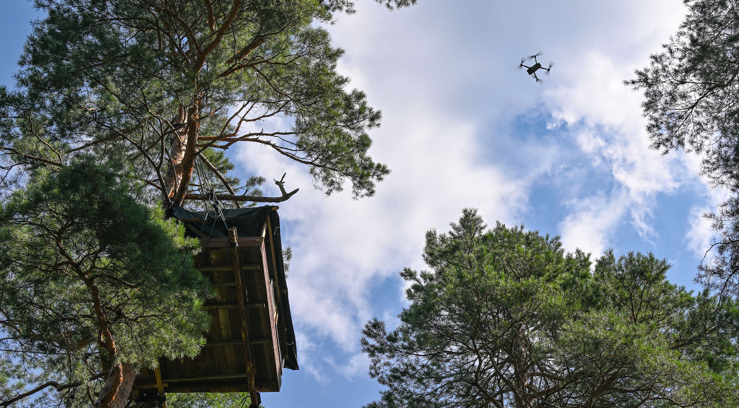 A drone flies over a forest with a tree house.