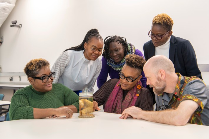 The project team from The University of the West Indies, Institute of Jamaica and The Hunterian, University of Glasgow, with the Jamaican Giant Galliwasp specimen.