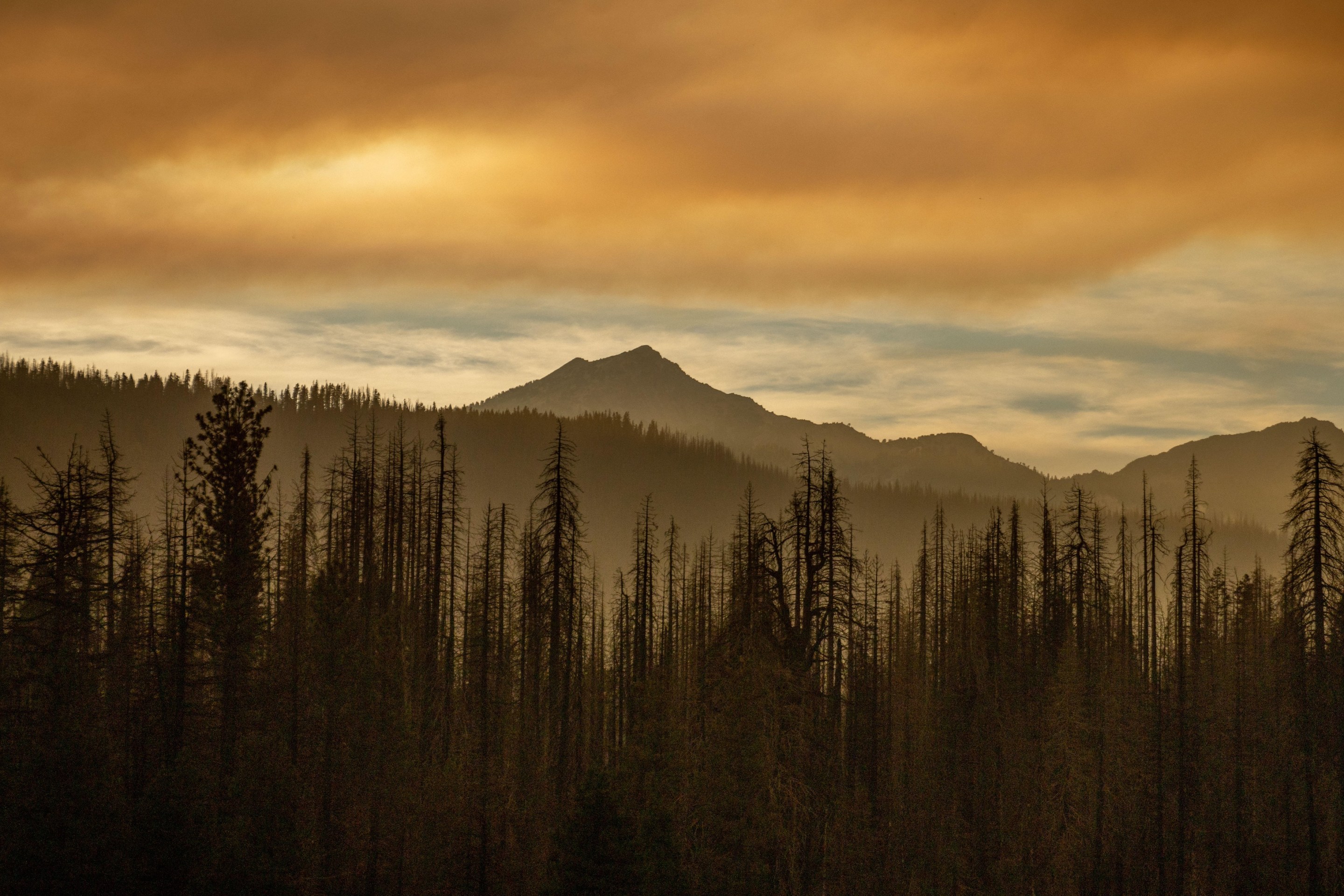 MILL CREEK, CALIFORNIA - AUGUST 6: Smoke shrouds Mt. Shasta as the Park Fire burns on August 6, 2024 in Mill Creek, California. (Photo by Ethan Swope/Getty Images)