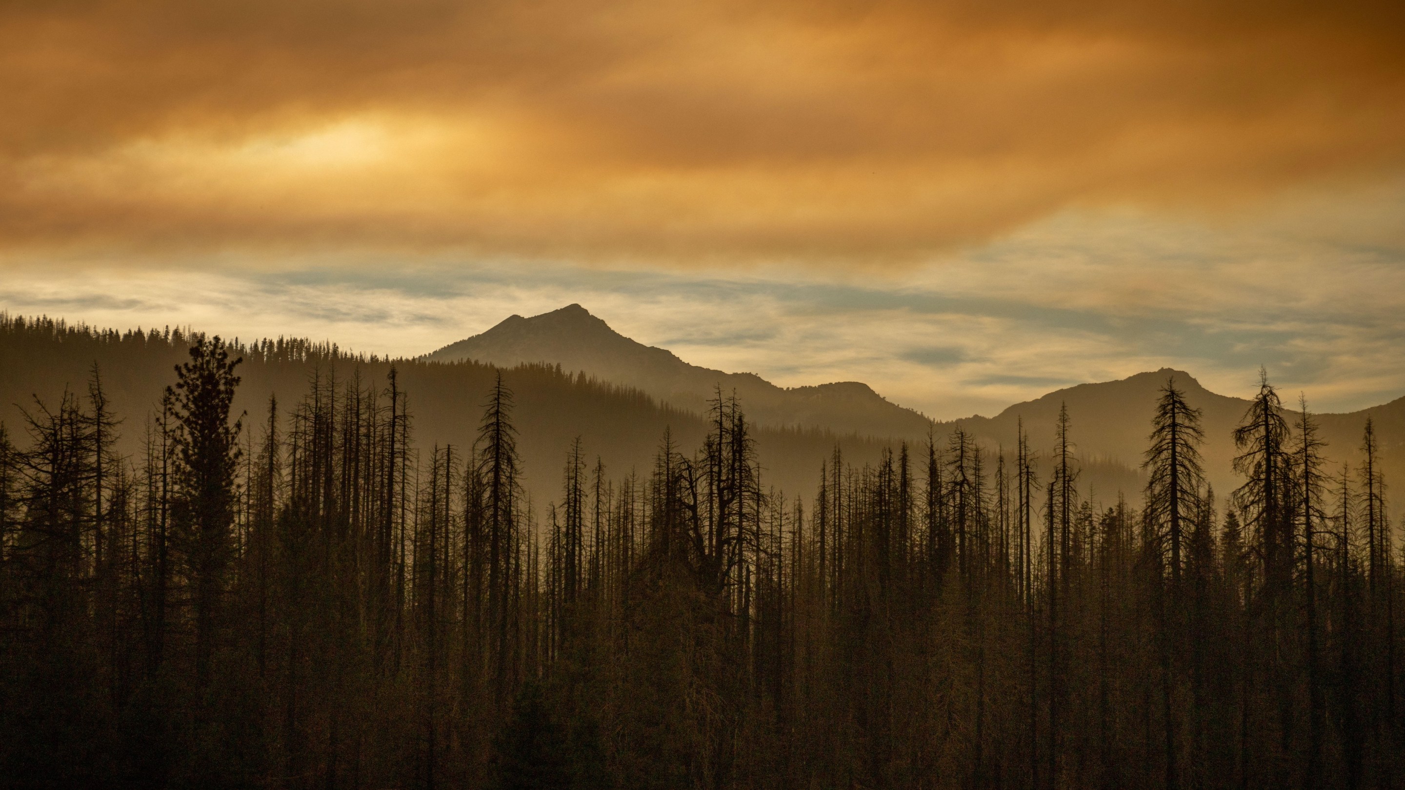 MILL CREEK, CALIFORNIA - AUGUST 6: Smoke shrouds Mt. Shasta as the Park Fire burns on August 6, 2024 in Mill Creek, California. (Photo by Ethan Swope/Getty Images)