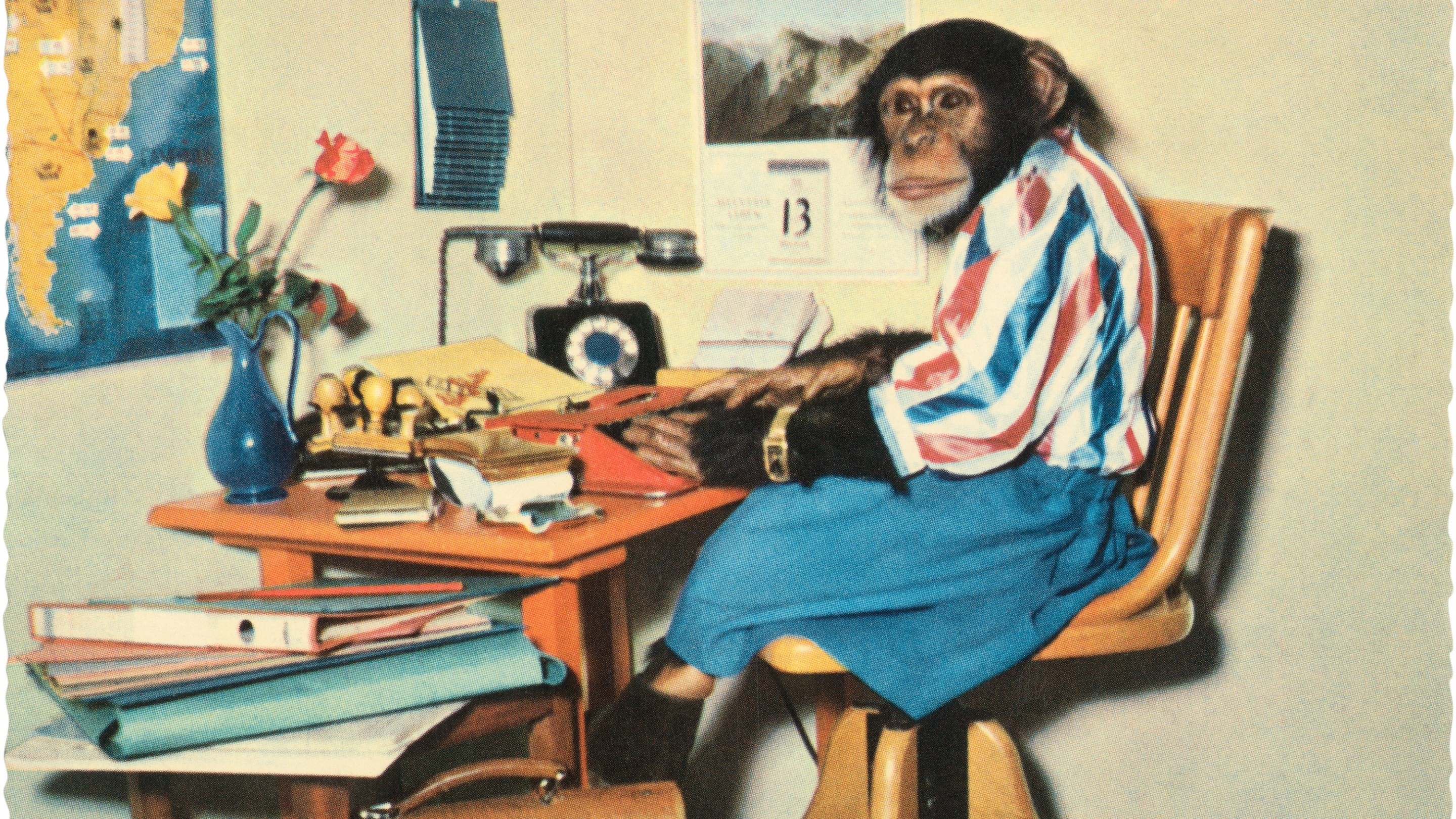 Vintage color photograph of a chimpanzee in a skirt, stupid blouse, wristwatch and boots seated at a cluttered desk in a faux office, typing on a red typewriter. (Photo by Found Image Holdings/Corbis via Getty Images)