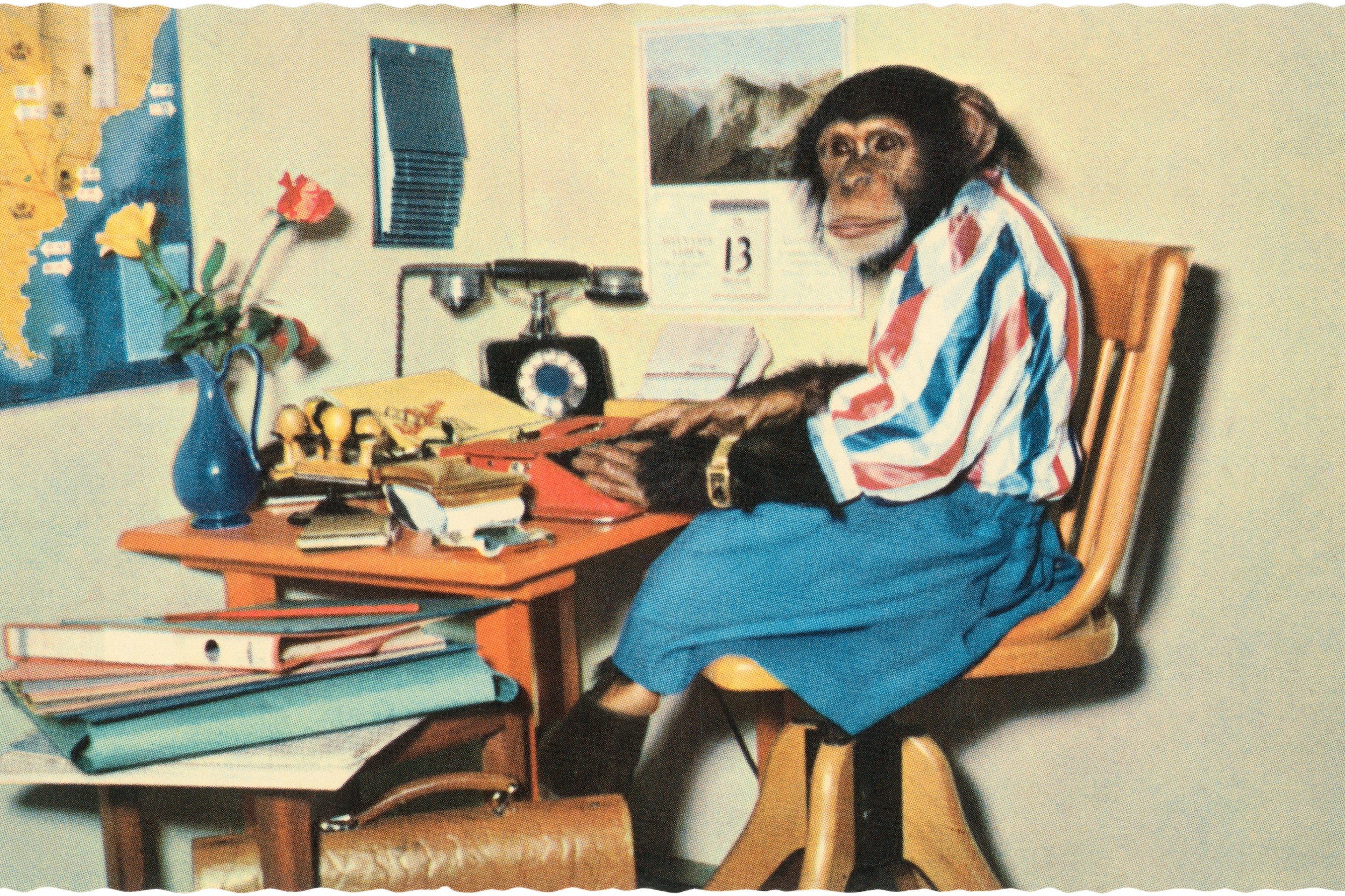 Vintage color photograph of a chimpanzee in a skirt, stupid blouse, wristwatch and boots seated at a cluttered desk in a faux office, typing on a red typewriter. (Photo by Found Image Holdings/Corbis via Getty Images)