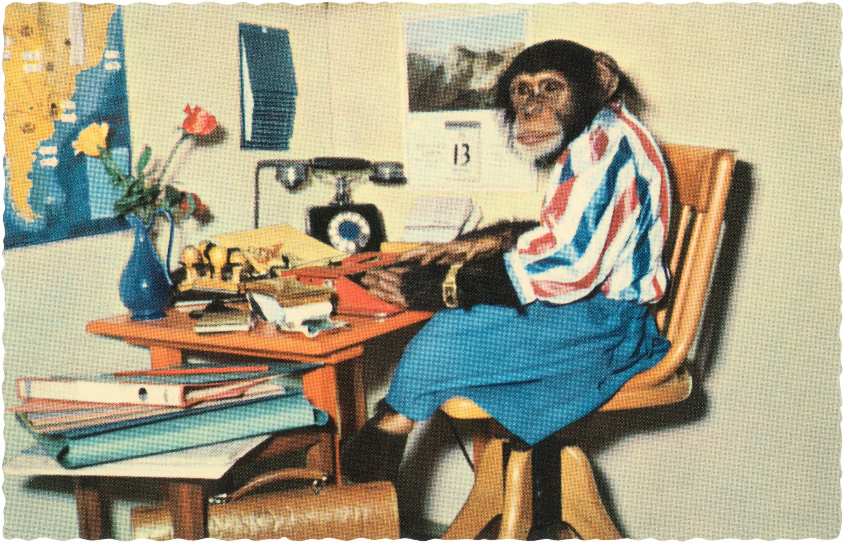 Vintage color photograph of a chimpanzee in a skirt, stupid blouse, wristwatch and boots seated at a cluttered desk in a faux office, typing on a red typewriter. (Photo by Found Image Holdings/Corbis via Getty Images)