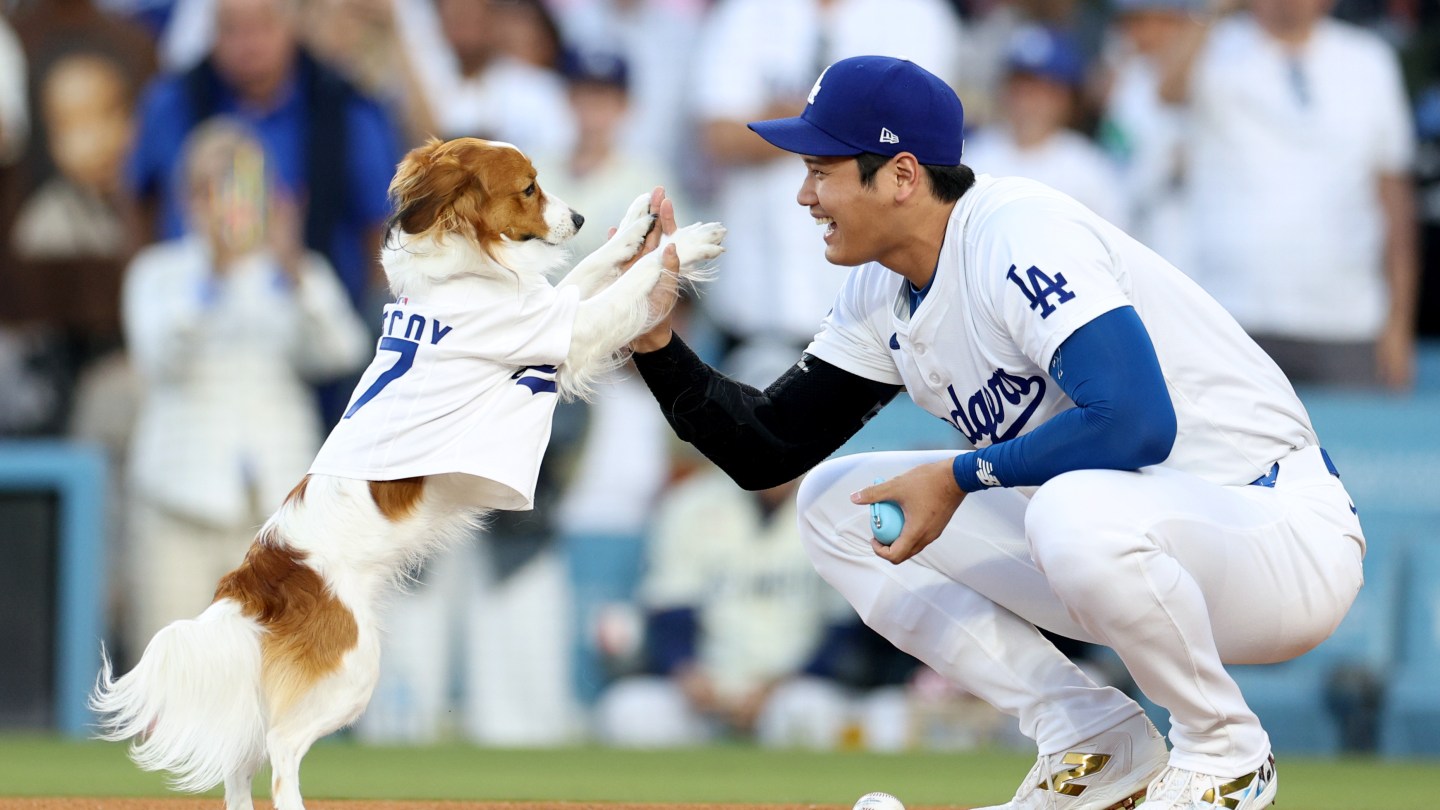 Shoehi Ohtani and Decoy high five after Decoy successfully throws the first pitch.