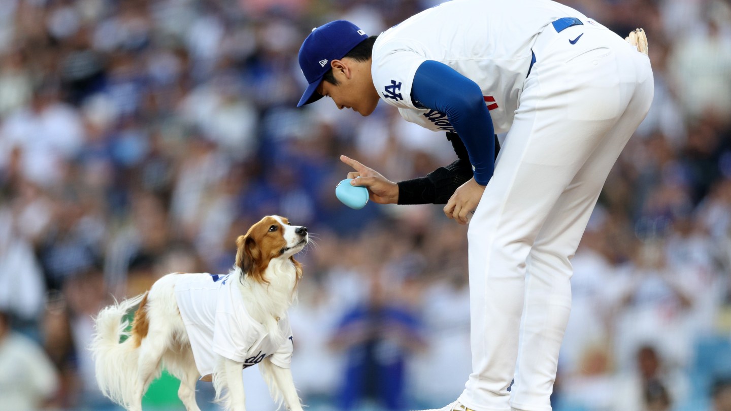 Shohei Ohtani instructs Decoy to wait on the mound before throwing the first pitch.