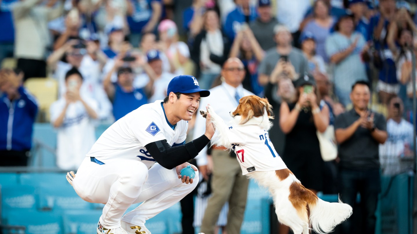 Decoy, right, high fives his owner Shohei Ohtani #17 of the Los Angeles Dodgers after he carries out the first pitch,