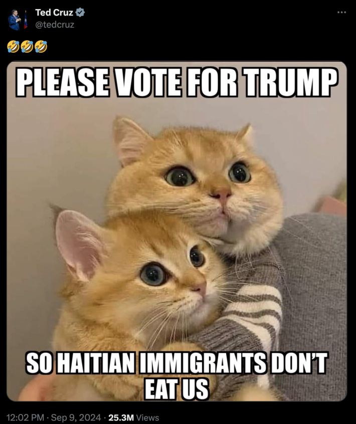 A screenshot of a tweet made at 12:02pm on September 9, 2024 by Texas Senator Ted Cruz. It depicts two cats clinging to each other and looking concerned, with impact text at top and bottom reading "Please Vote For Trump/So Haitian Immigrants Don't Eat Us." Cruz's contribution is three ROFL emojis.