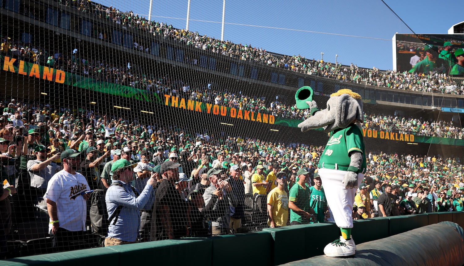 OAKLAND, CALIFORNIA - SEPTEMBER 26: The Oakland Athletics mascot, Stomper, waves to the crowd after the Oakland Athletics beat the Texas Rangers at the Oakland Coliseum on September 26, 2024 in Oakland, California. Today will be the final Athletics game played at the Coliseum. (Photo by Ezra Shaw/Getty Images)