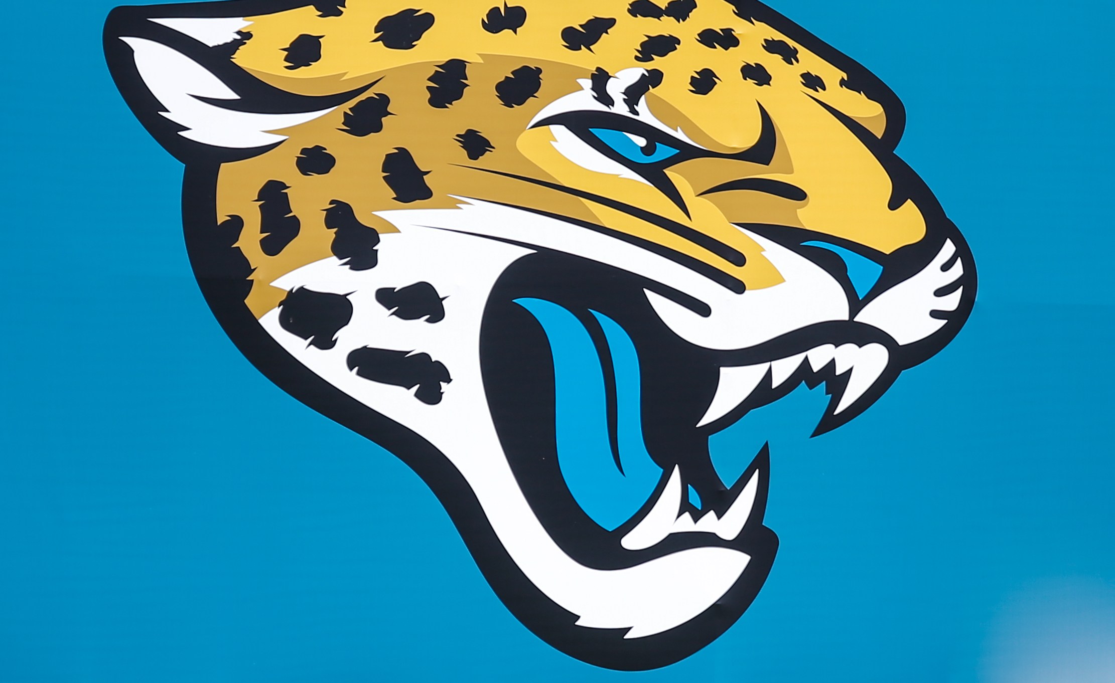 JACKSONVILLE, FL - MAY 31: A Jacksonville Jaguars logo along the fence during the Jaguars OTA on May 31, 2018 at Dream Finders Homes Practice Complex in Jacksonville, Fl.(Photo by David Rosenblum/Icon Sportswire via Getty Images)