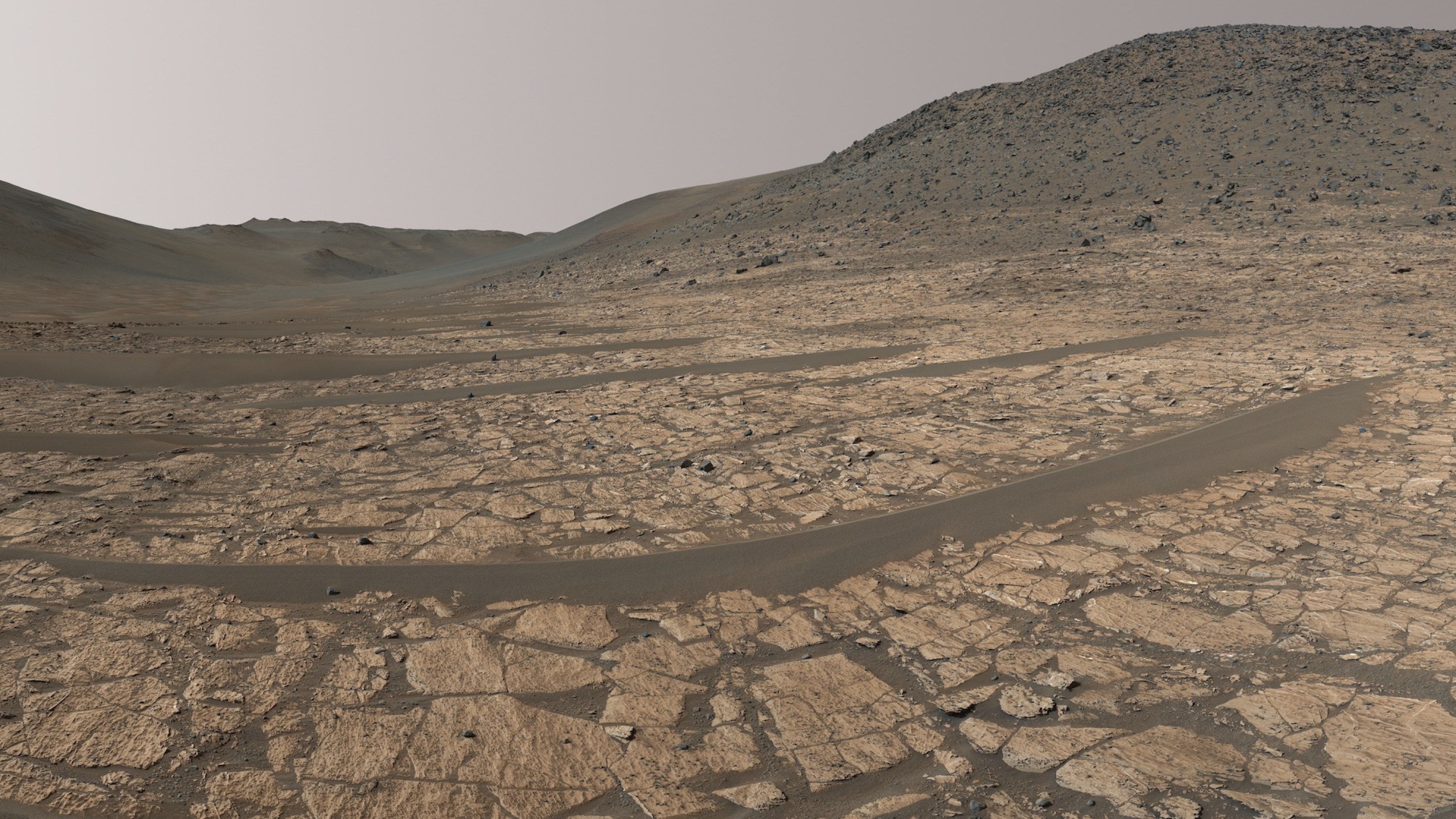 A wide view of the desolate Martian landscape, captured by the Perseverance rover.