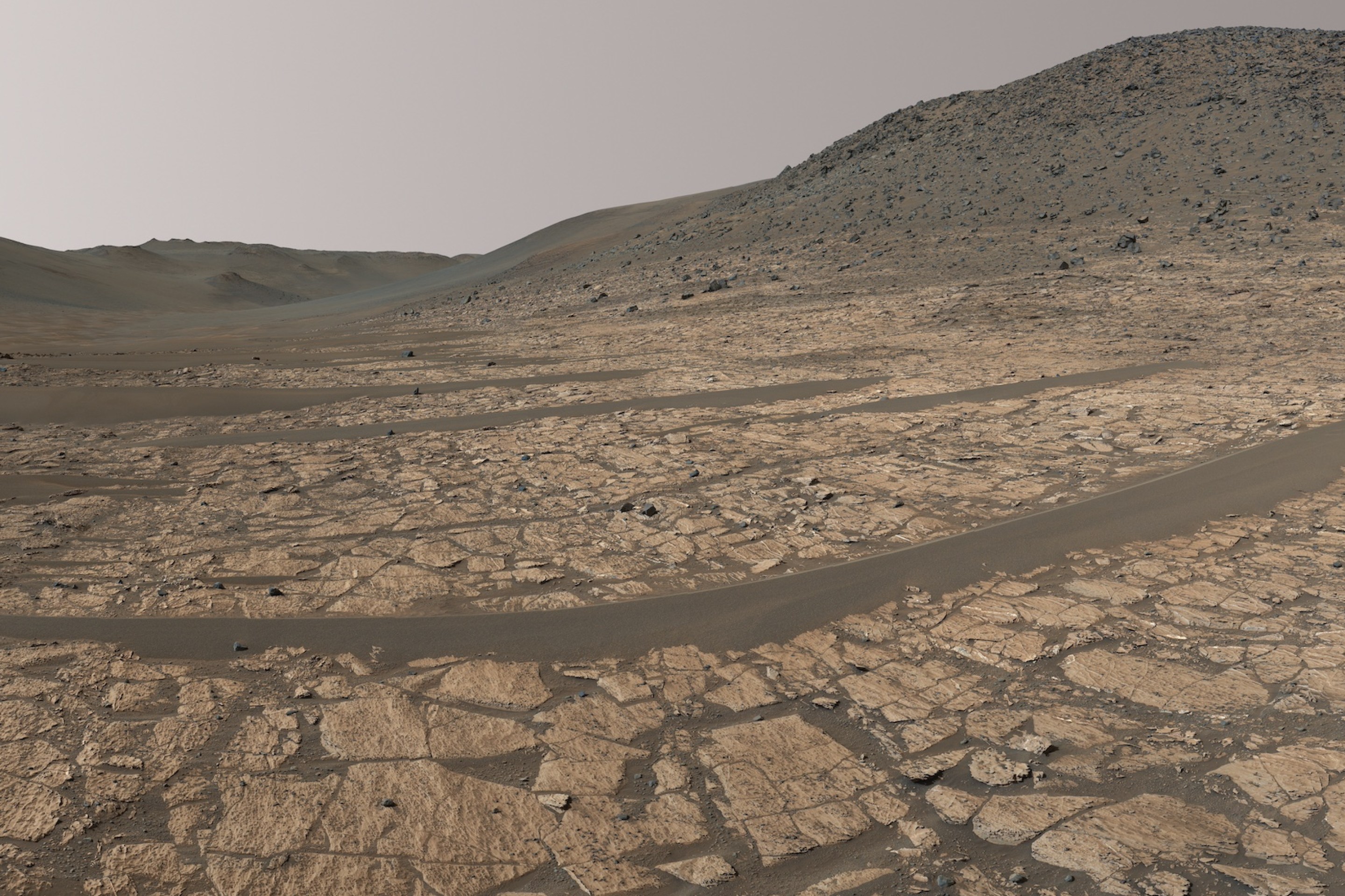 A wide view of the desolate Martian landscape, captured by the Perseverance rover.