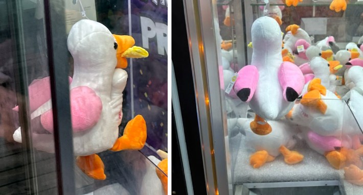 A pink plush seagull toy in one of those grabby-claw machines. This particular toy has a french fry in its mouth. It's more or less the same as the one Dan won in a lucky moment on the Wildwood boardwalk.