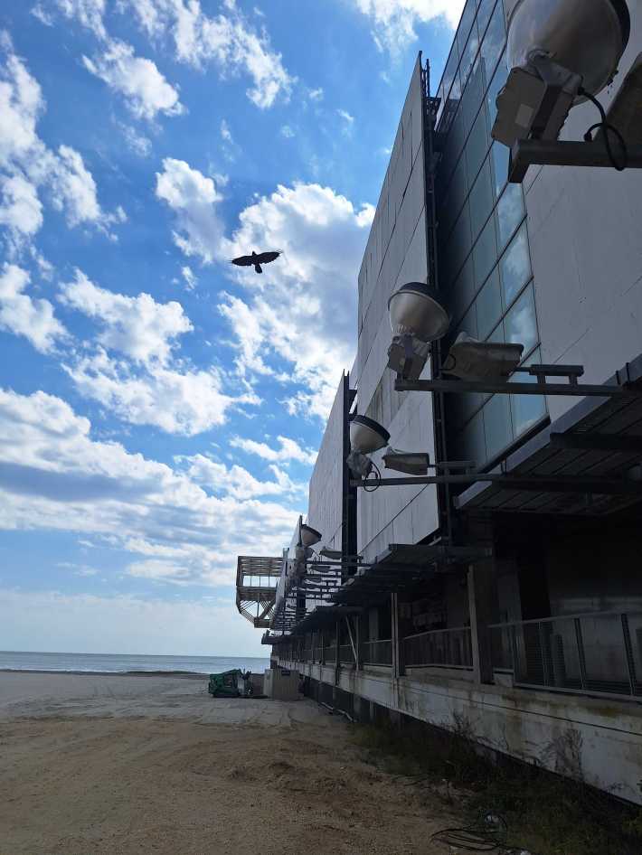 Three blank billboard spaces along the north-facing part of the dead Playground Mall in Atlantic City, with a bird flying at left.