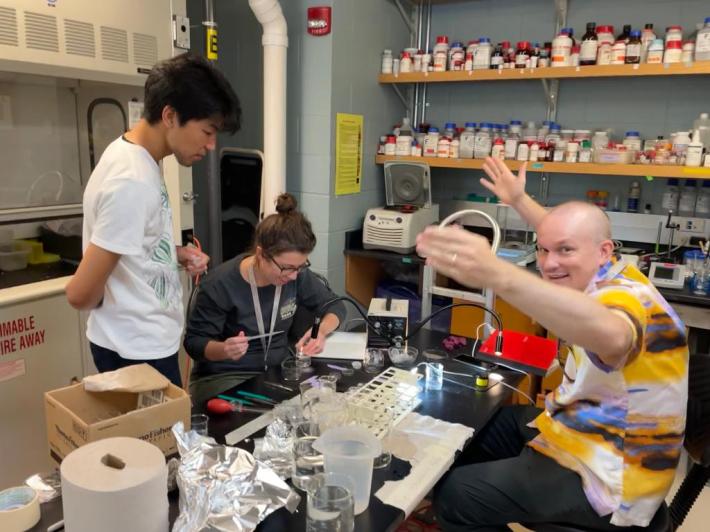 three scientists work at a table fusing two ctenophores into one. one is holding his hands up in success