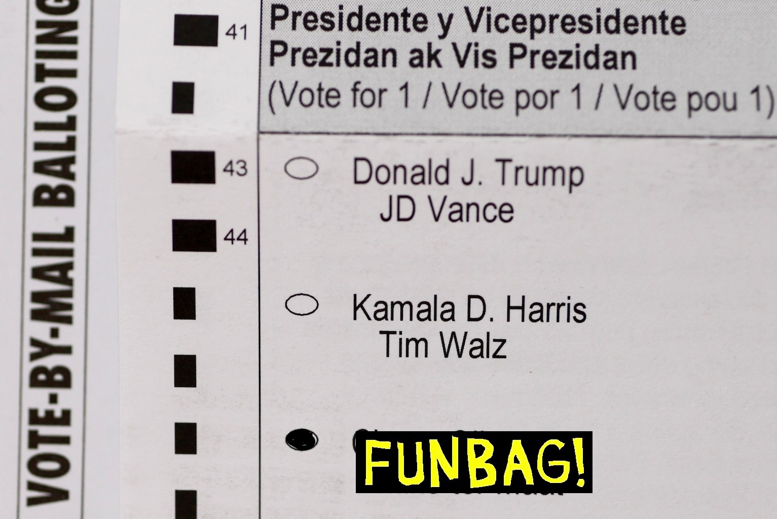 MIAMI, FLORIDA - OCTOBER 02: In this photo illustration, the names of the candidates for the 2024 Presidential election, including Republican presidential nominee, former U.S. President Donald Trump, and Democratic presidential nominee, Vice President Kamala Harris, appear on a vote-by-mail ballot on October 02, 2024 in Miami, Florida. With 33 days to go until election day, voters across the nation have begun to receive their absentee/mail ballots. (Photo illustration by Joe Raedle/Getty Images)