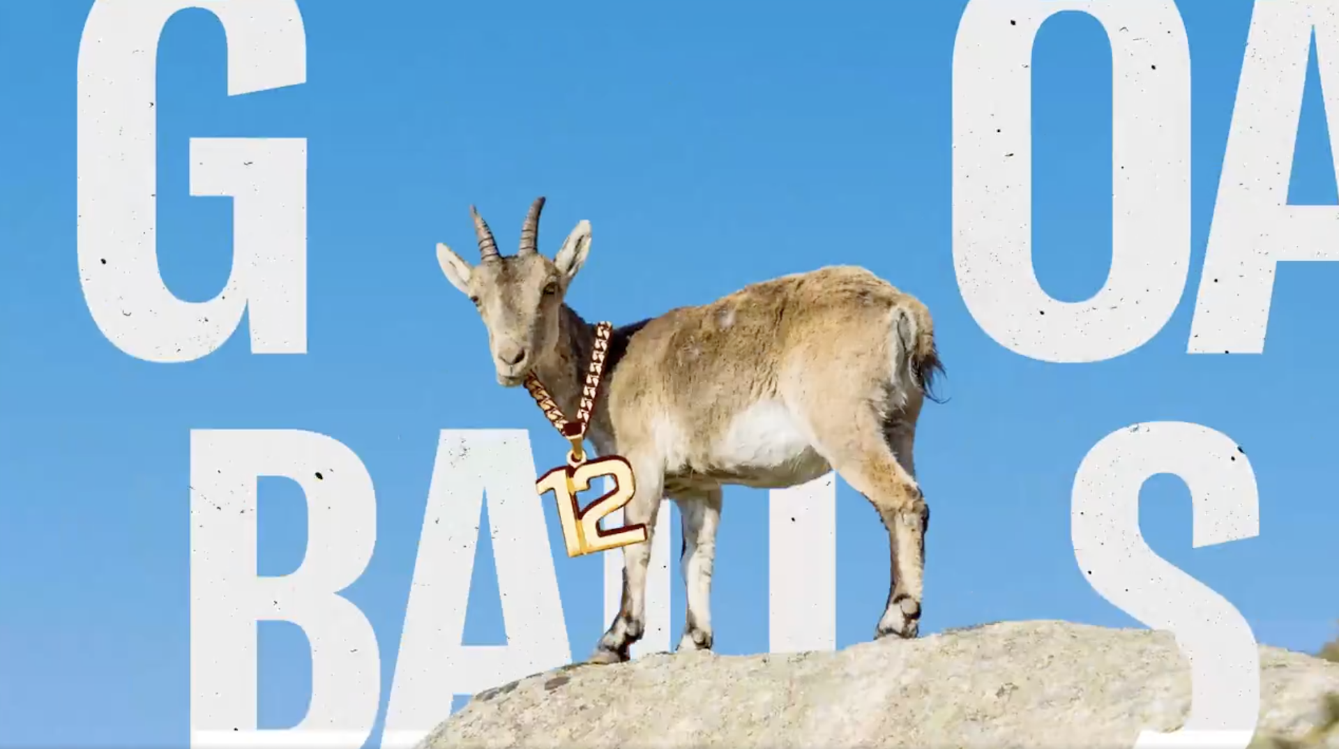 An image from the BOS Nation rollout video depicting a goat standing in front of the words Goat Balls