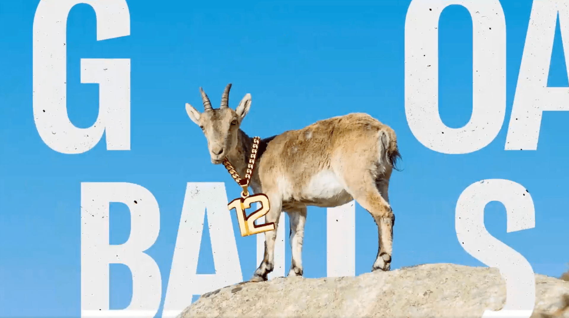 An image from the BOS Nation rollout video depicting a goat standing in front of the words Goat Balls