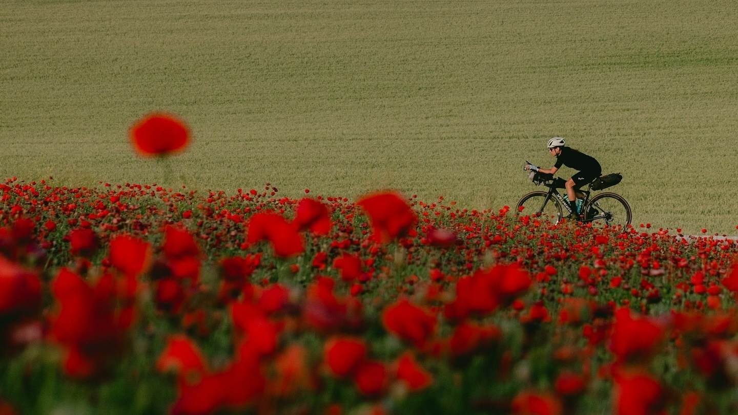 Lael Wilcox pedaling past a field of poppes in Spain
