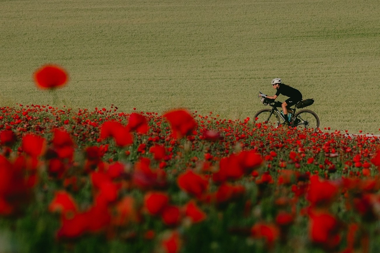 Lael Wilcox pedaling past a field of poppes in Spain