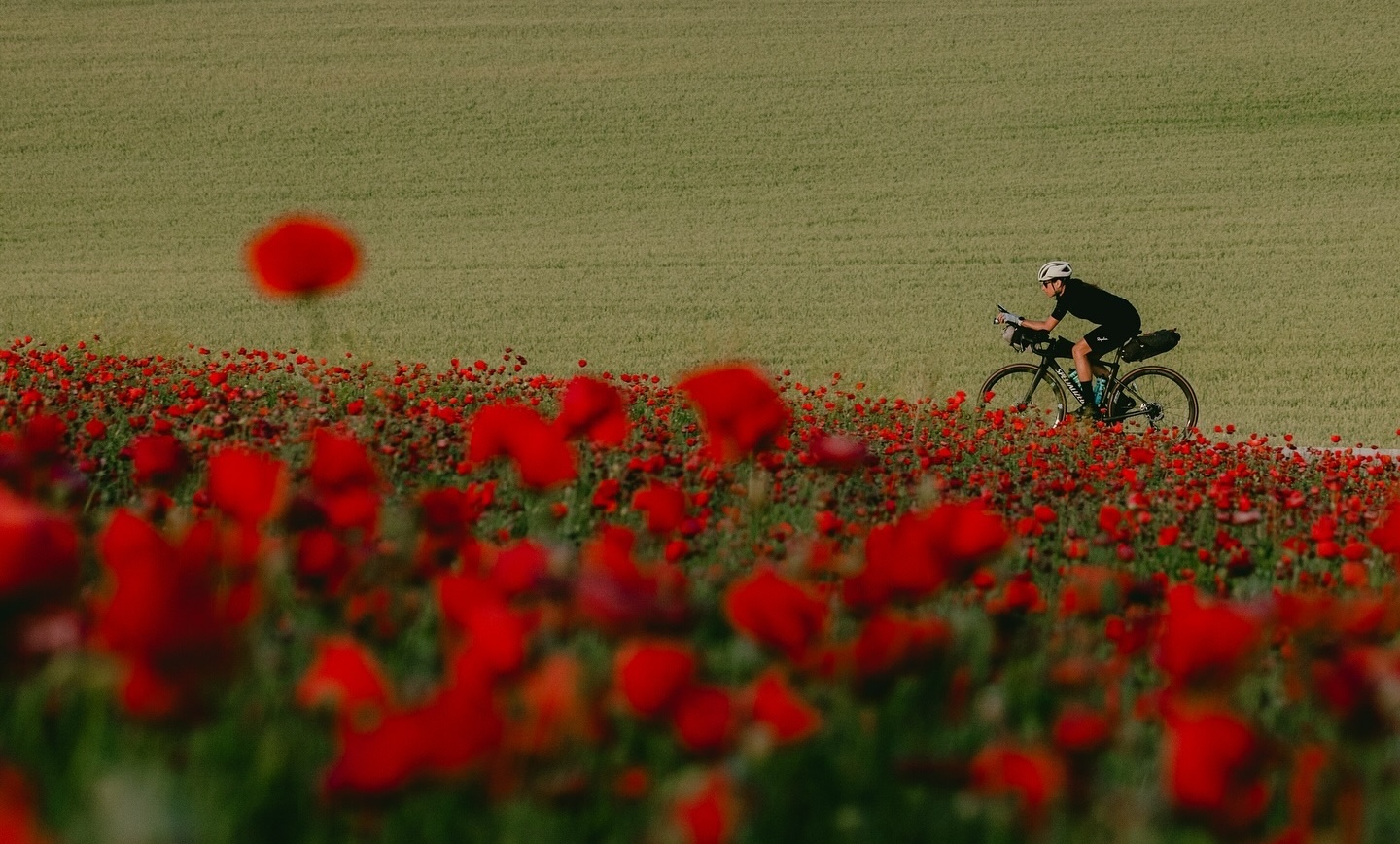 Lael Wilcox pedaling past a field of poppes in Spain