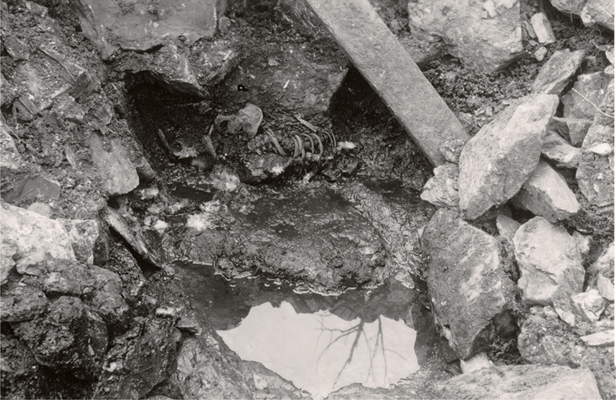 A black-and-white photo of a partial skeleton at the bottom of a rocky well