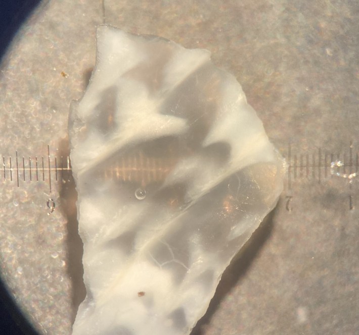 a photo of a shard of a clam called a heart cockle placed above an image underneath a microscope, showing how the image is transmitted through the clamshell