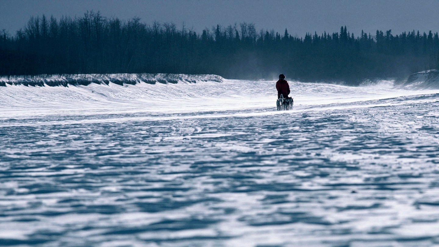 A musher and his sled dogs on the frozen Yukon river. (Photo by Jean-Erick PASQUIER/Gamma-Rapho via Getty Images)