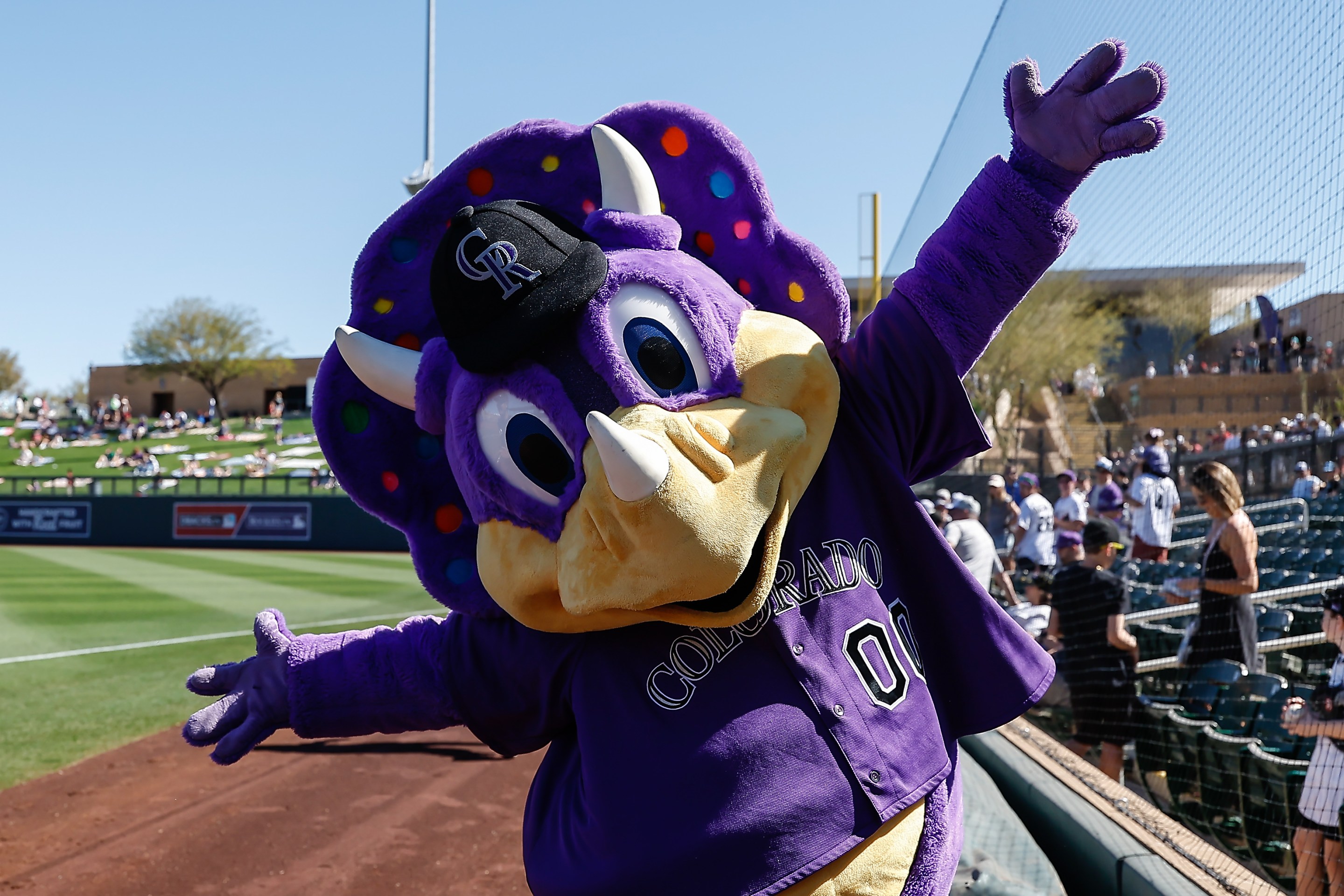 he Colorado Rockies mascot performs before the MLB Spring Training baseball game between the Arizona Diamondbacks and the Colorado Rockies on February 22, 2025 at Salt River Fields.