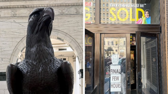 A split image. On one side, a bronze statue of an eagle, up close, only the top half of the eagle. It is looking slightly left and kind of looks angry--if an eagle can look angry. On the right side of this split image is a brown front door to a building. At the top is a sign: EVERYTHING MUST BE SOLD. On the one double door printout paper is taped: FINAL FEW HOURS.