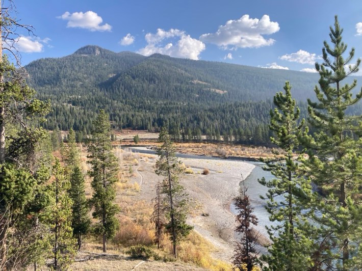 a photo of a picturesque forest with mountains and trees, at Bridger Teton National Forest