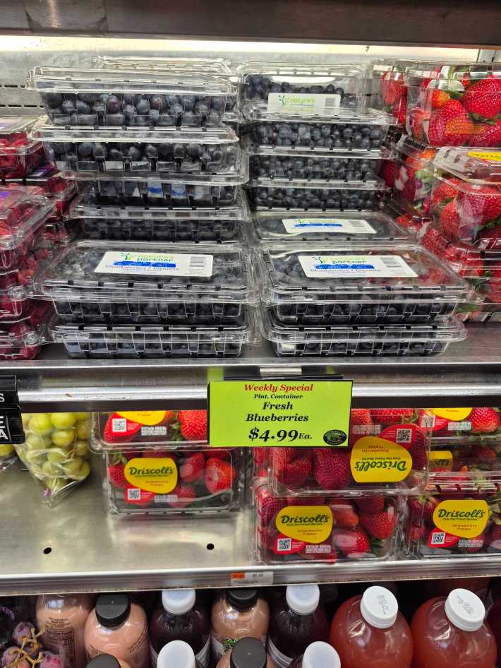 These blueberries were on an amazing sale.