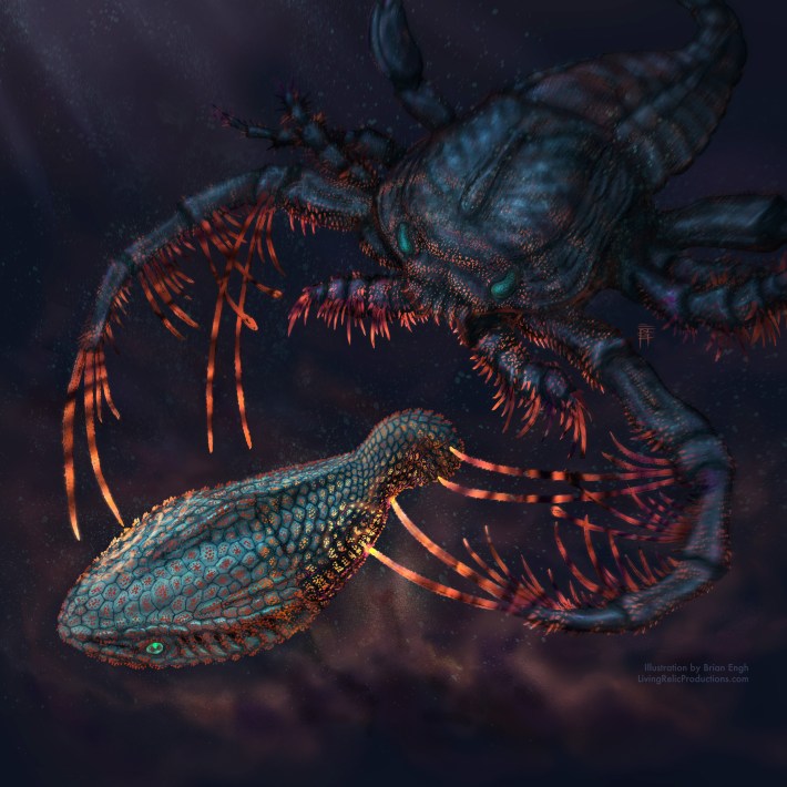 Artistic rendering of the sensory exoskeletons of the early jawless vertebrate Astraspis being attacked by the sea-scorpion Megalograptus in dark shallow waters. The pulsating glow of the interacting exoskeletons representing the convergent ability of sensation