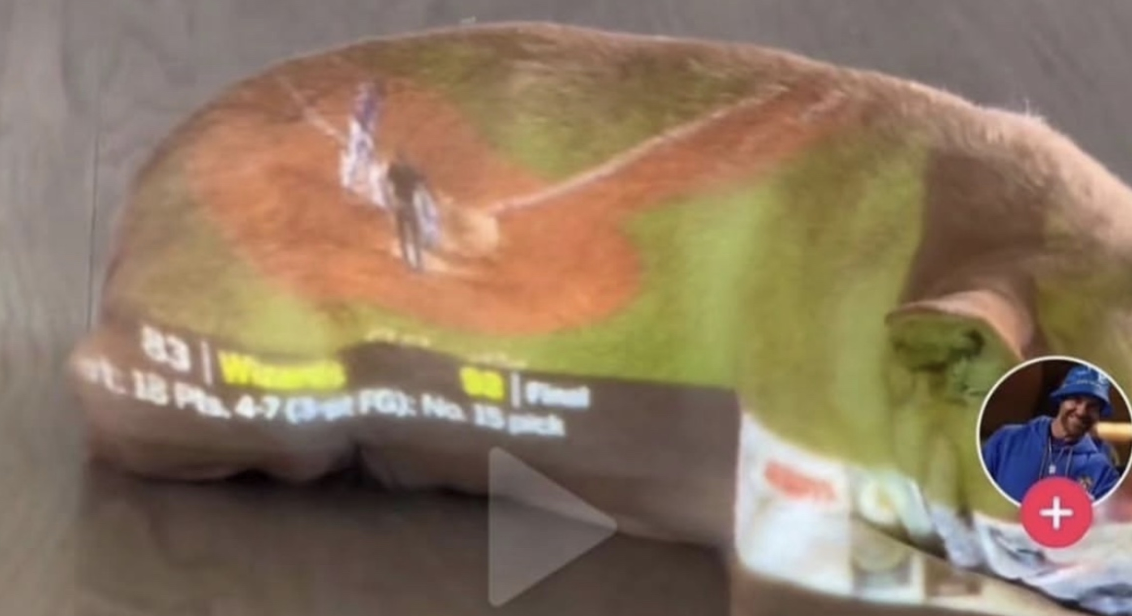 A baseball game being projected onto the side of a French bulldog.