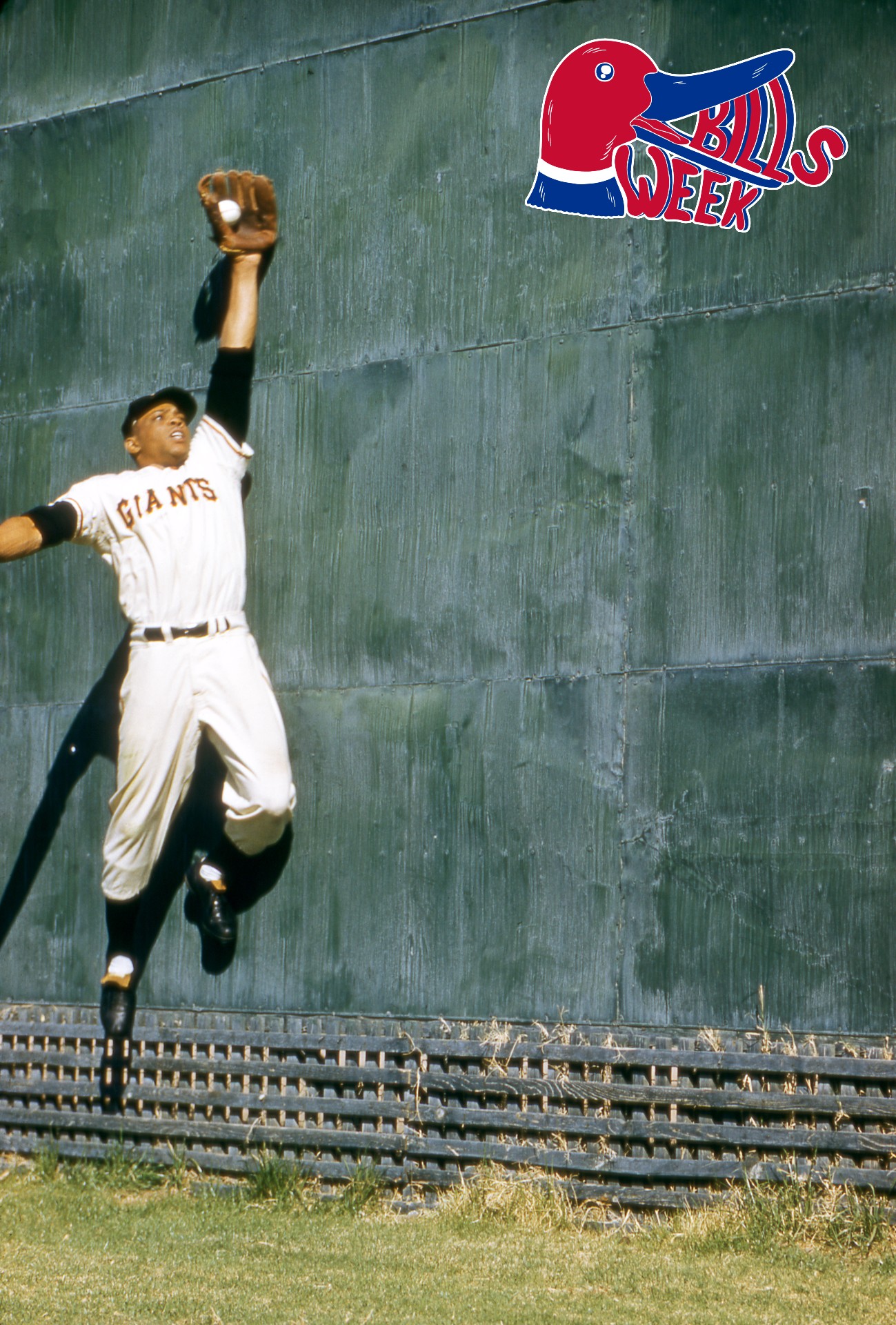 Willie Mays leaps against a green wall to grab a fly ball