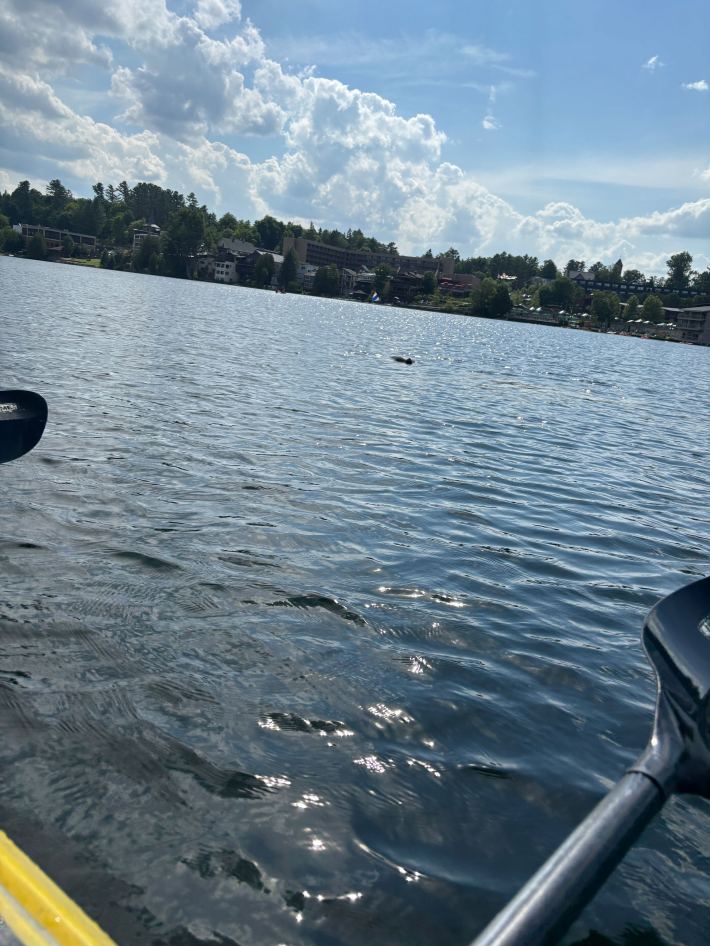 a kind of sideways photo taken from a kayak with a paddle in frame and a distant dark headless shape that is a loon