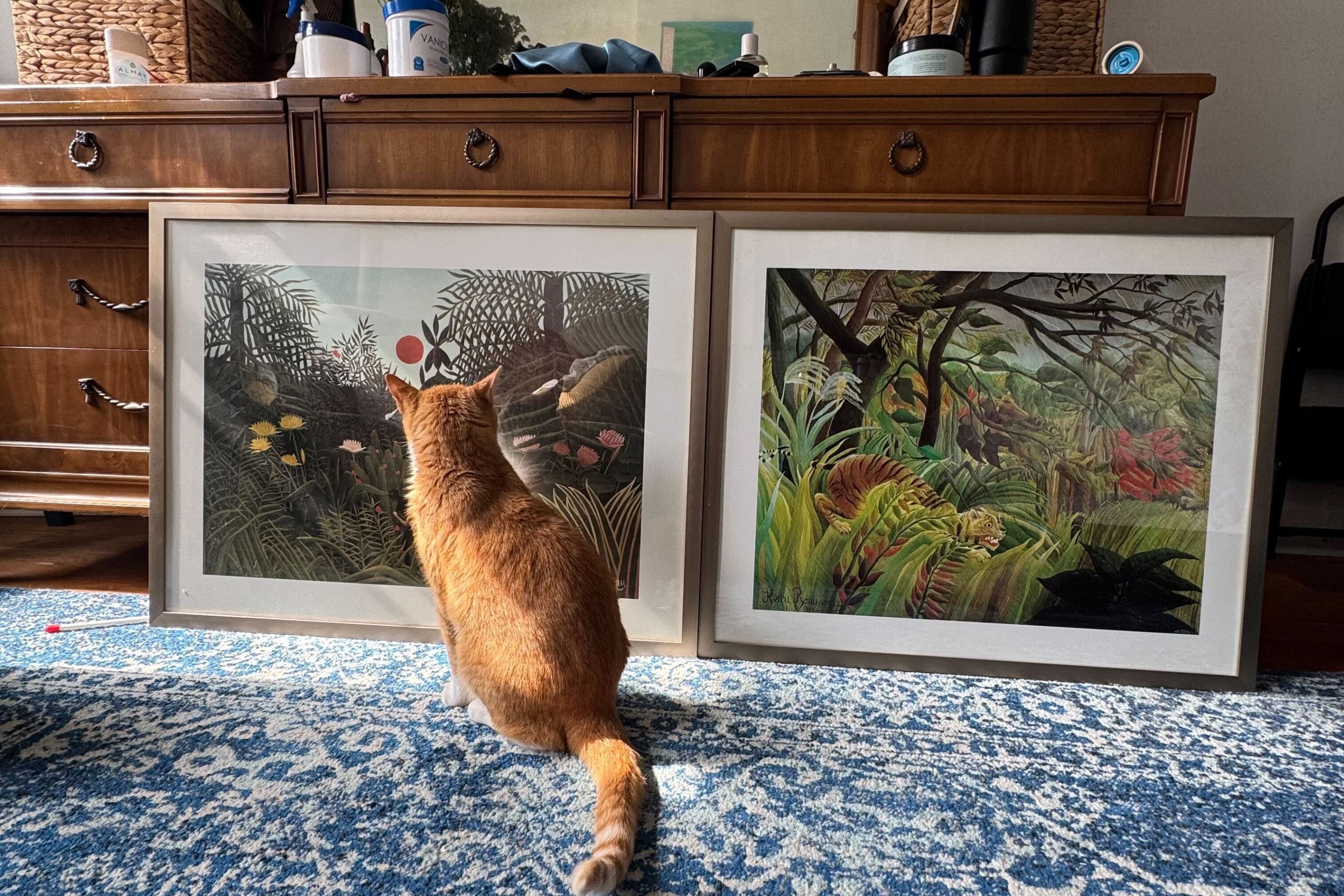 An orange cat sits in front of two framed Henri Rousseau prints.