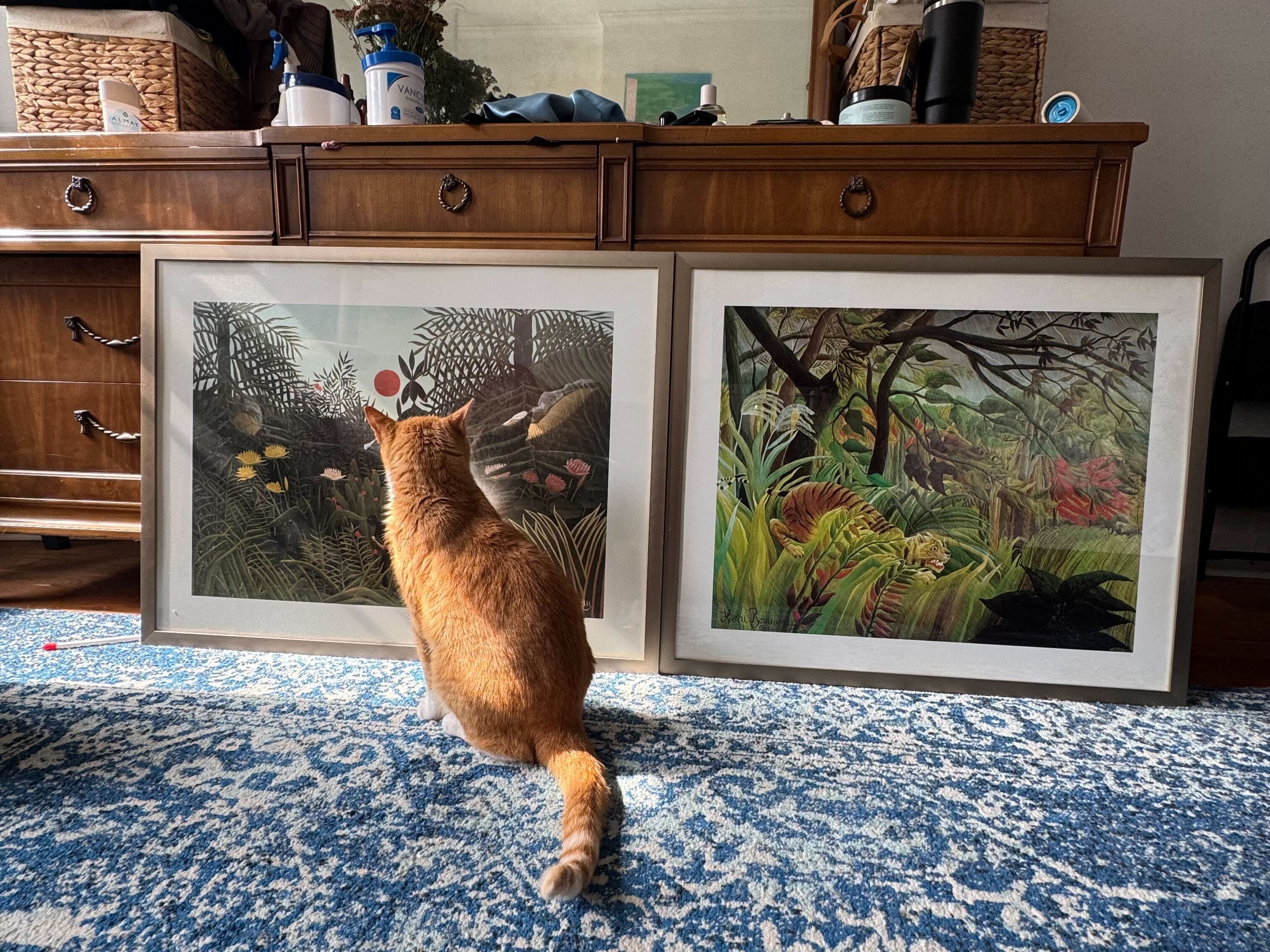 An orange cat sits in front of two framed Henri Rousseau prints.