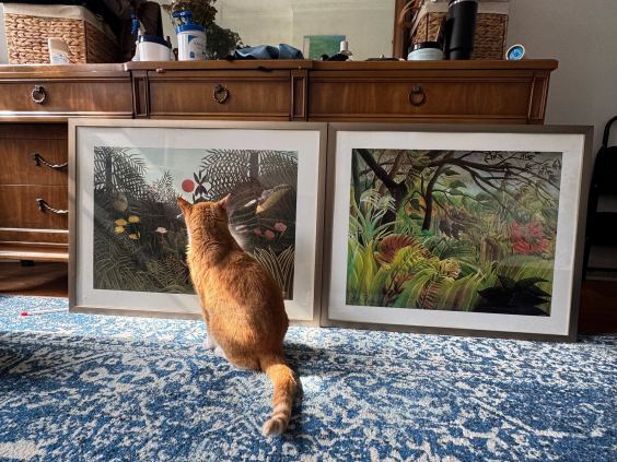 Finding Henri Rousseau