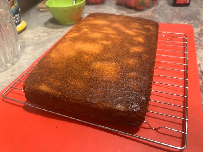 A baked sponge, turned over, with a slightly overcooked bottom.