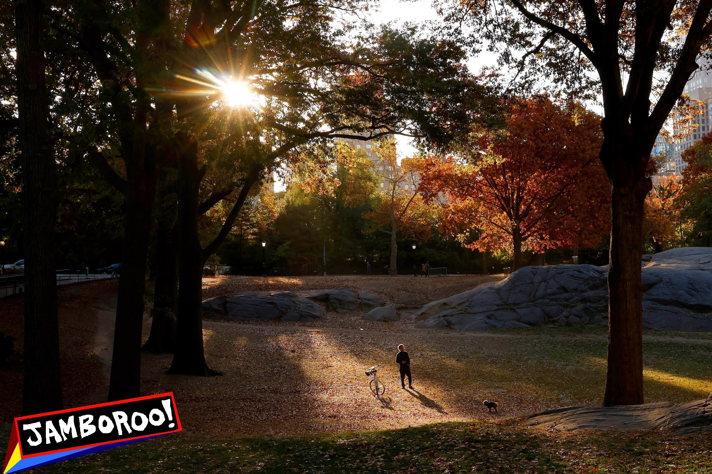 NEW YORK, NY - OCTOBER 28: A man walks his dog in Central Park as the sun rises behind trees turning color on October 28, 2024, in New York City. (Photo by Gary Hershorn/Getty Images)
