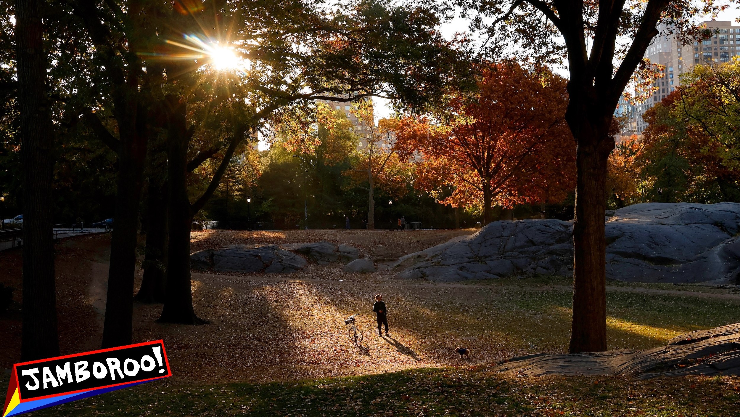 NEW YORK, NY - OCTOBER 28: A man walks his dog in Central Park as the sun rises behind trees turning color on October 28, 2024, in New York City. (Photo by Gary Hershorn/Getty Images)