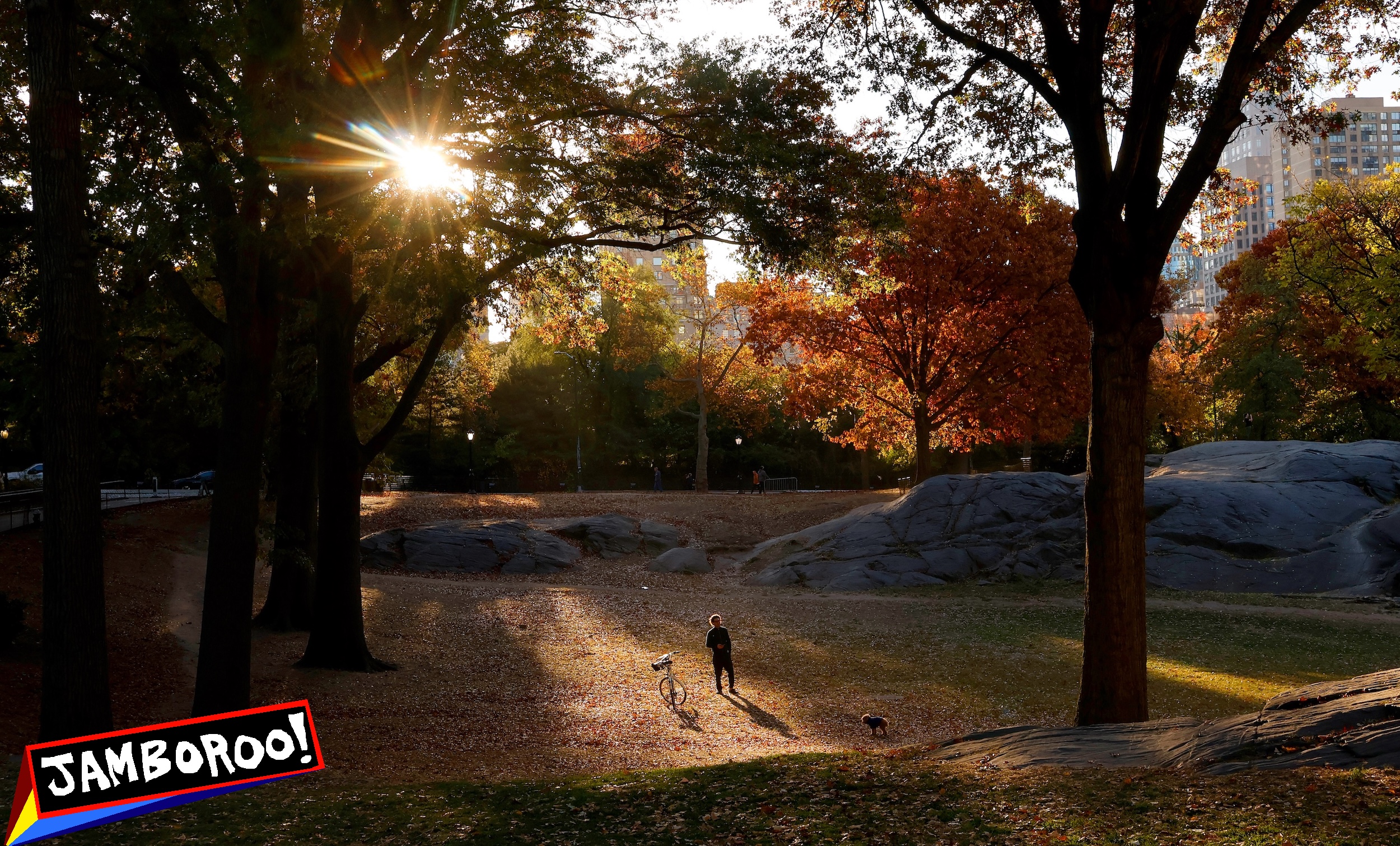 NEW YORK, NY - OCTOBER 28: A man walks his dog in Central Park as the sun rises behind trees turning color on October 28, 2024, in New York City. (Photo by Gary Hershorn/Getty Images)