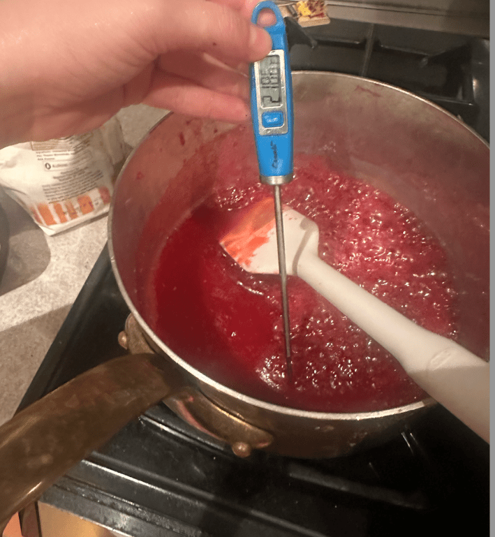 thermometer reading 218 in pot of red jelly