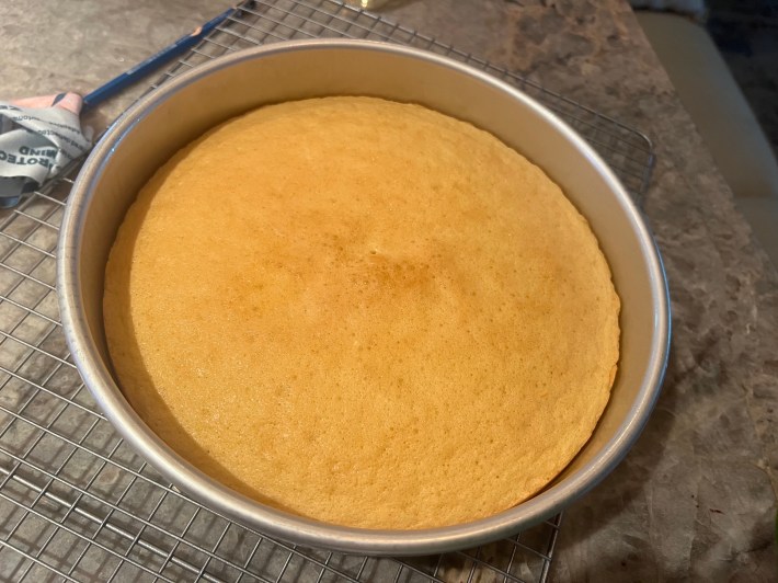 A baked genoise sponge, in its tin.