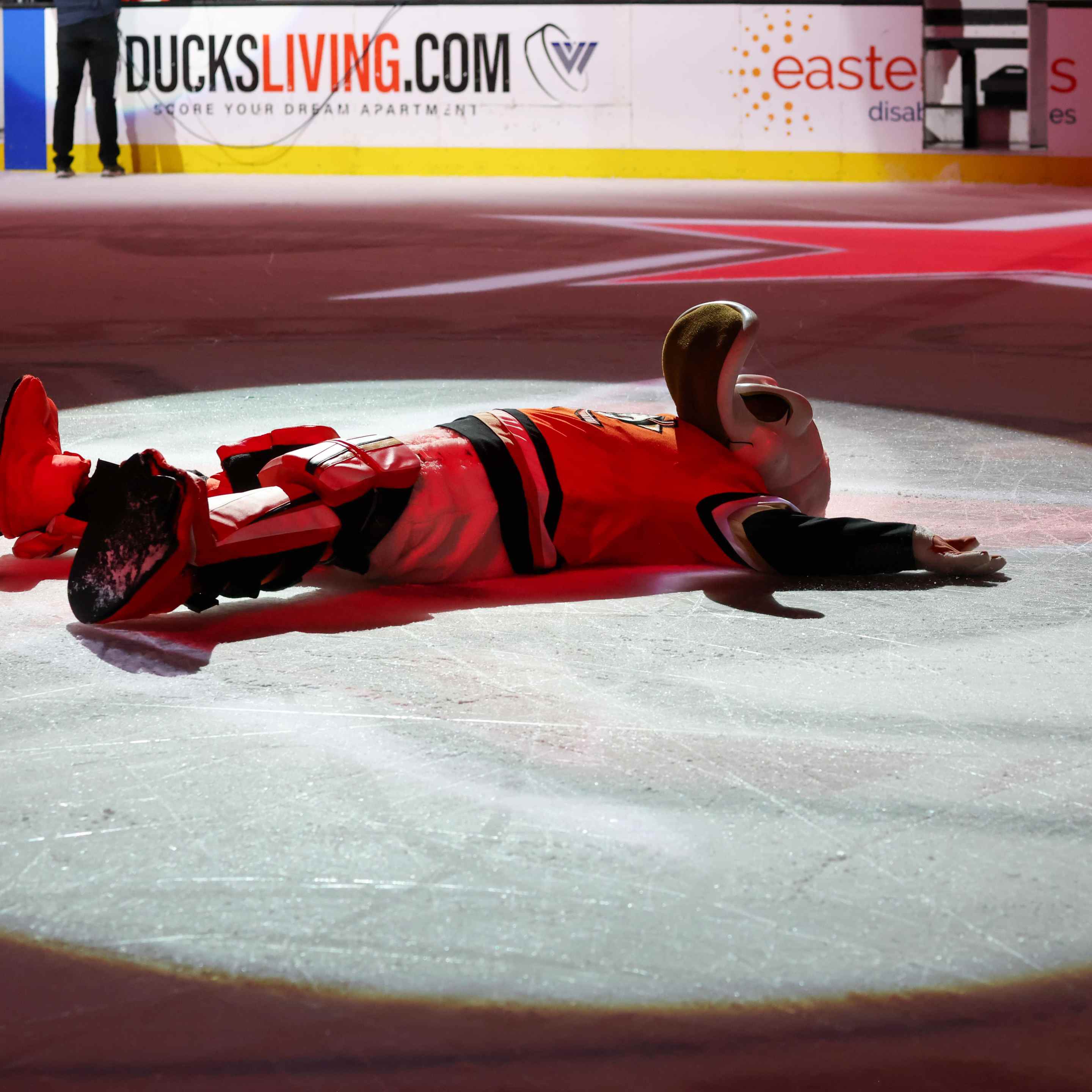 Anaheim Ducks Wild Wing celebrates after their victory