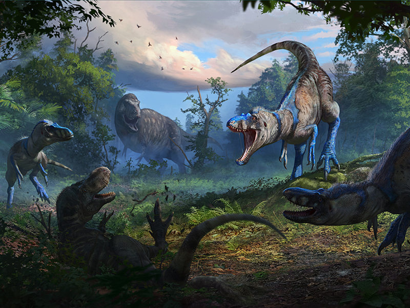 A pack of Nanotyrannus attacking a juvenile T. rex.