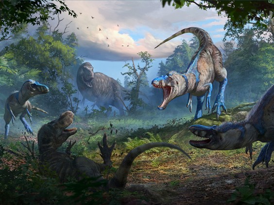 Let Us Now Celebrate Our Extinct Short King, Nanotyrannus