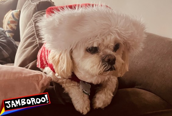 Merry Christmas, You Filthy Animal